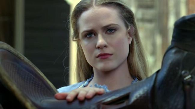 Evan Rachel Wood mengaku pernah dua kali diperkosa, satu oleh orang dekatnya dan satu lagi oleh pemilik bar. Itu terjadi bertahun-tahun lalu.