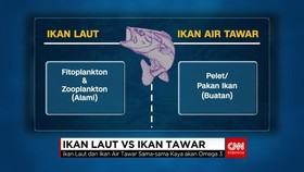 Ikan Laut Vs Ikan Tawar