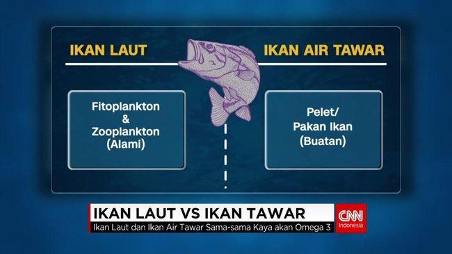 83 Ikan Laut Air Tawar Gratis Terbaik