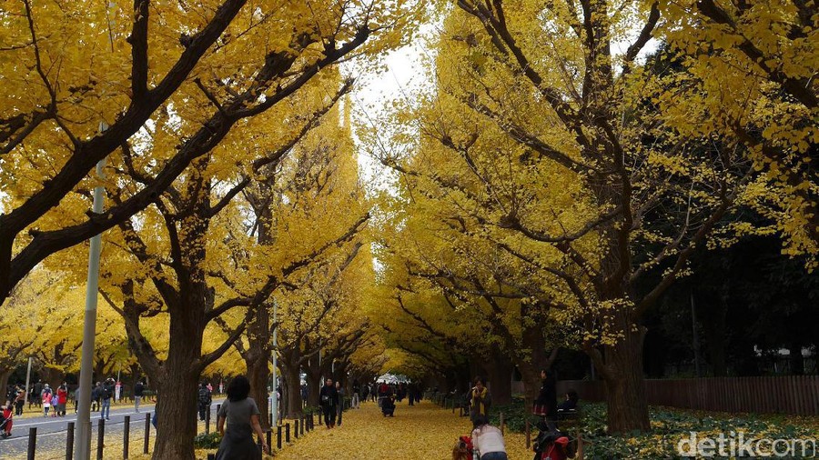 Musim gugur di Tokyo, Jepang