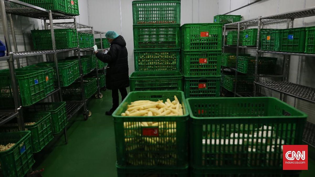 BGN Tegaskan Dapur SPPG Wajib Serap Bahan Pangan Lokal di Manokwari