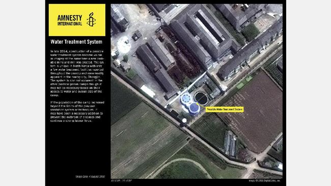 Korea Utara Hukum Berat Pasangan Cerai ke Kamp Kerja Paksa