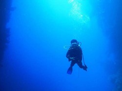 Kenapa Manusia Tidak Bisa Minum Air Laut, tapi Ikan Bisa?