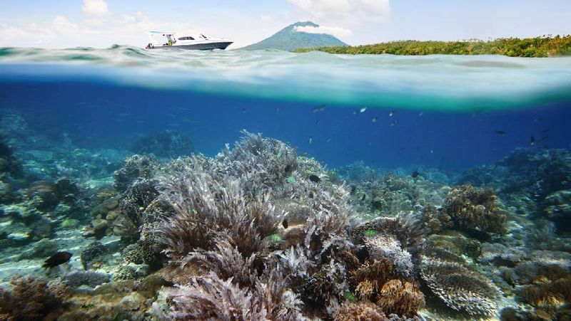 16 Artis K-Pop menjalani syuting Reality Show Law of the Jungle in Manado.