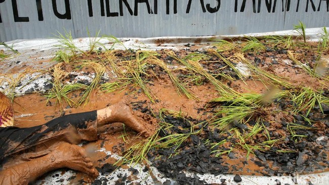 Sejak diperintahkan UU tahun 2009, akhirnya pemerintah menerbitkan Peraturan mengenai Tata Cara Penyelenggaraan KLHS yang diwajibkan kepada seluruh daerah.