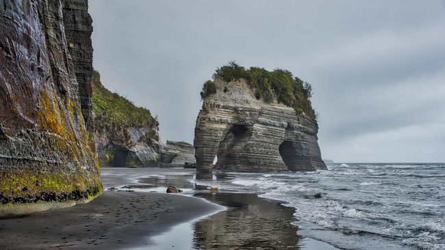 Batu karang berbentuk gajah yang berada di tepi pantai Selandia Baru harus kehilangan belalai, yang longsor akibat gempa bumi November lalu.