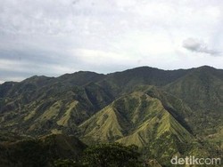 Gunung Nona yang Kebakaran Itu Disebut-sebut Mirip Miss V