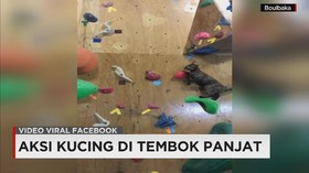 Video Viral Pilihan Connected