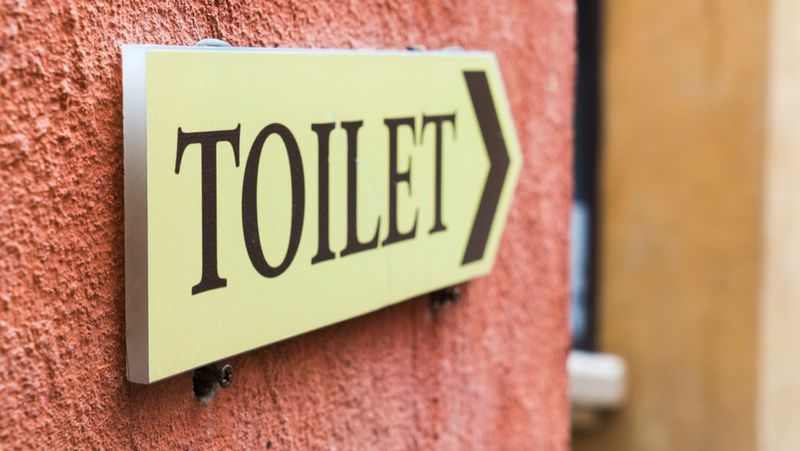 Toilet umum di destinasi wisata di Indonesia akan segera bermetamorfosis. Asosiasi Toilet Indonesia (ATI)