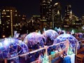 'Menyantap' Bintang dalam Igloo Plastik di Rooftop Bar