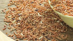 7 Makanan Pengganti Nasi Aman untuk Diabetes