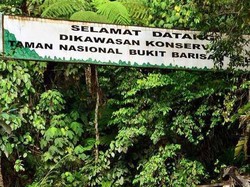 Wisata Rhino Camp di Lampung: Daya tarik, Lokasi, Tiket Masuk dan Fasilitas
