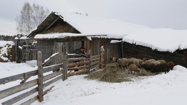 Fenomena Aneh Salju Oranye di Rusia dan Eropa Timur 