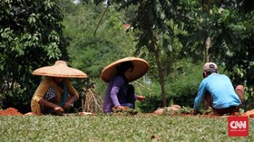 Melihat Proses Panjang Kerajinan Topi Caping di Ponorogo