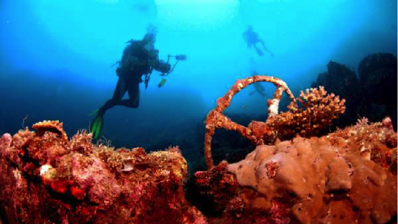 Jika Anda gemar diving, pastinya tidak asing lagi dari Pulau Morotai yang memiliki berbagai situs menyelam yang indah.