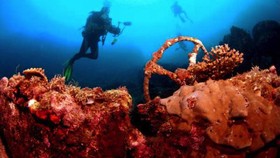 Indonesia Raih The Outstanding Liveabroad Diving Destination