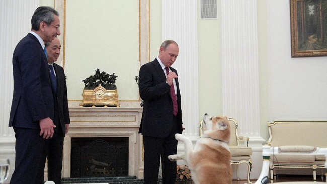 Presiden Rusia Vladimir Putin kemudian menyatakan kepada para wartawan Jepang yang menemuinya di Moskow bahwa anjingnya, Yume, adalah pelindungnya.