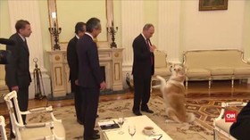 Senyum Canggung Wartawan Jepang Bertemu Anjing Putin