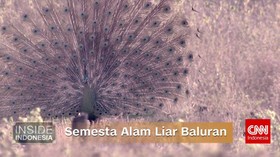 Semesta Alam Liar Baluran