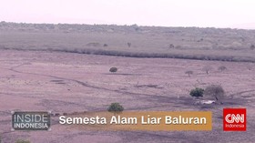 Semesta Alam Liar Baluran