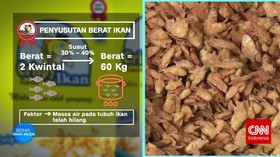 Gurihnya Bisnis Ikan Balita
