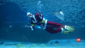 Merayakan Natal Bersama Santa di Bawah Air