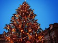 Tren Rambut Pohon Natal Merajai Instagram
