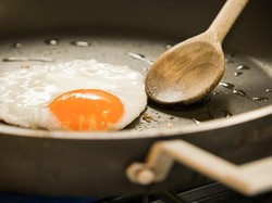 Kuningnya Lebih Oranye, Pasti Telur Omega-3? Ternyata Tidak