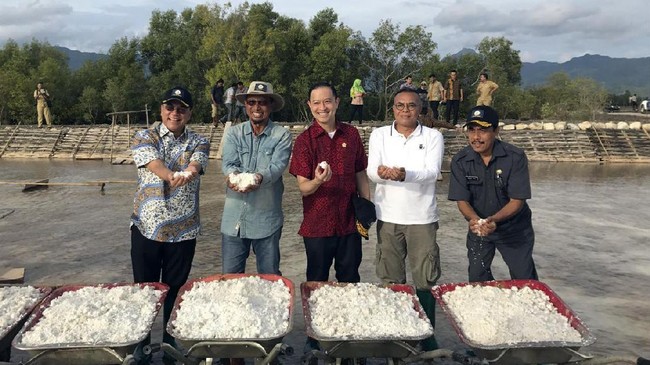 Hasil dari produksi garam disebut jauh lebih besar bila dibandingkan dengan padi, karena efisien lahan dan berharga lebih tinggi.
