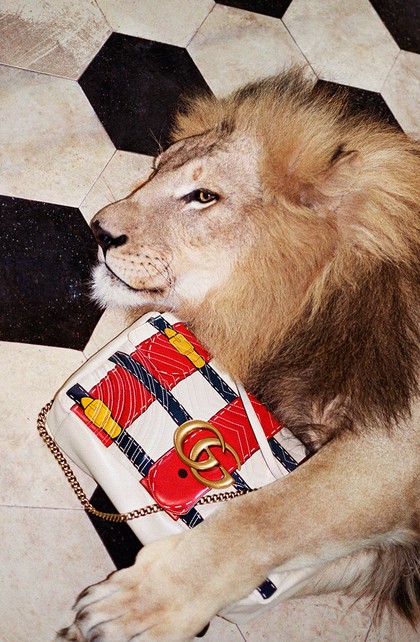 Gucci Ajak Harimau, Singa dan Jerapah Jadi Model Kampanye 2017