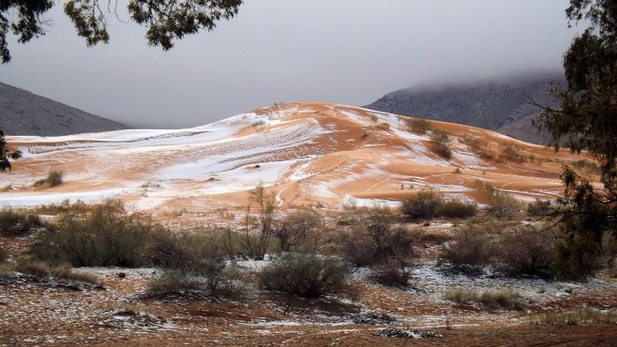 salju di gurun sahara salju di gurun sahara