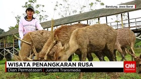 Piknik ke Taman Edukasi Penangkaran Rusa