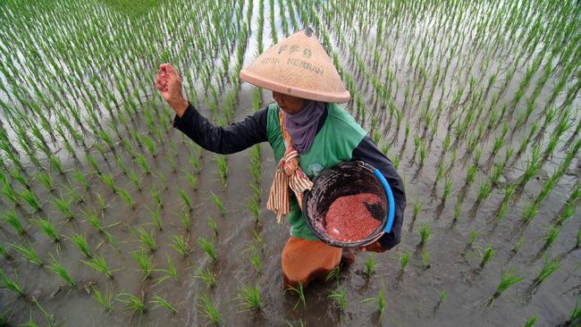 Waspada Harga Pangan Selangit usai Komoditas Pupuk Subsidi Dipangkas