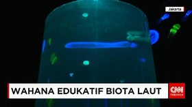 Wahana Edukatif Biota Laut