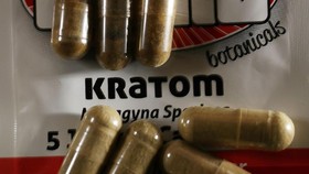 Bisnis Kratom: Dari Perang Vietnam Kini Berpusar di Negeri Paman Sam