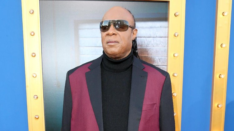 LOS ANGELES, CA - DECEMBER 03:  Musician Stevie Wonder attends the premiere Of Universal Pictures' "Sing" on December 3, 2016 in Los Angeles, California.  (Photo by Frederick M. Brown/Getty Images)