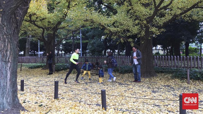 'Kehangatan' Musim Gugur di Jingu Gaien Tokyo