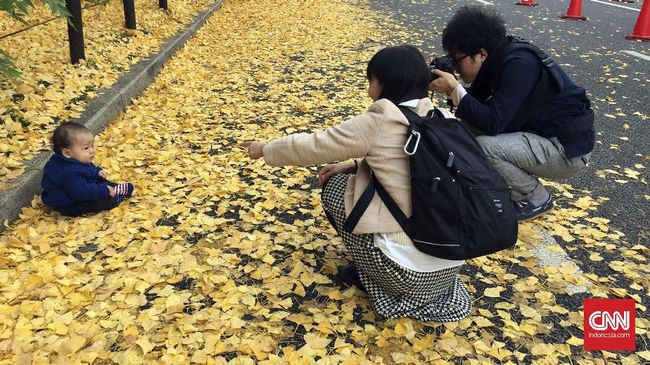 Tokyo menyimpan sejuta pesona di musim gugur. Berbagai destinasi wisata tampak romantis tak hanya kaerna udara segar, tetapi juga keramahtamahan warga setempat.