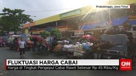 Menelusuri Kenaikan Harga Cabai Rawit
