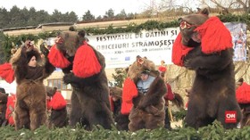 Meriahnya Parade Beruang Jelang Tahun Baru di Rumania