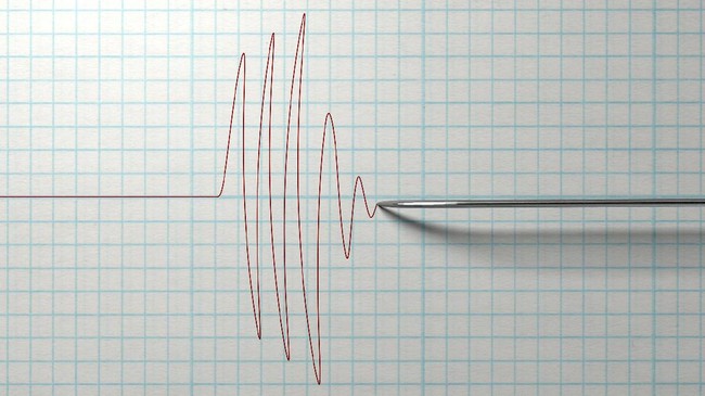 Badan Suervei Geologi AS melaporkan gempa berkekuatan 8 skala richter mengguncang selatan Meksiko dan berpotensi tsunami di sepanjang pantai negara itu.