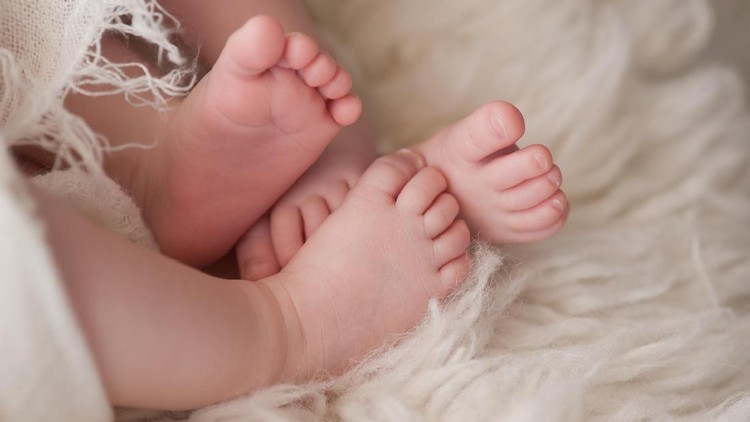 ilustrasi bayi kembar