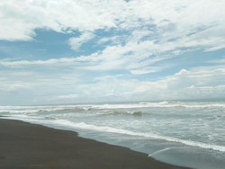 Pantai Goa Cemara Rumah Penyu Hijau dan Penyu Lekang