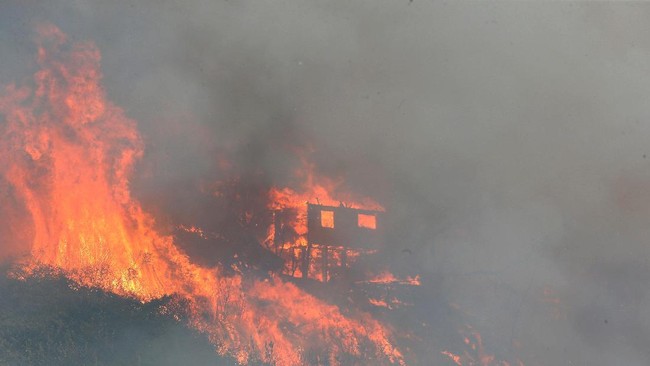 Kobaran Api Lalap 100 Rumah di Chile