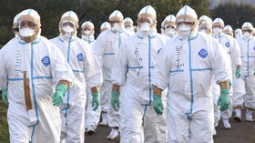 Aksi Asia Pasang Badan Hadapi Flu Burung