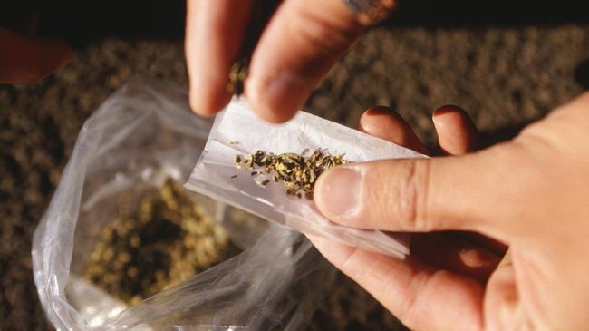 Tertangkapnya Ello karena pemilikan ganja berselang tak lama dari Tora Sudiro karena dumolid. Apakah benar artis butuh relaks dan stimulan?