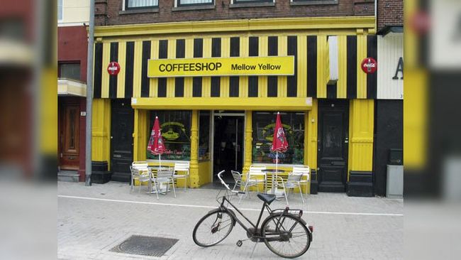 Tempat usaha yang menjual ganja di Amsterdam, Belanda, harus berhenti beroperasi karena berada terlalu dekat dengan kawasan sekolah.