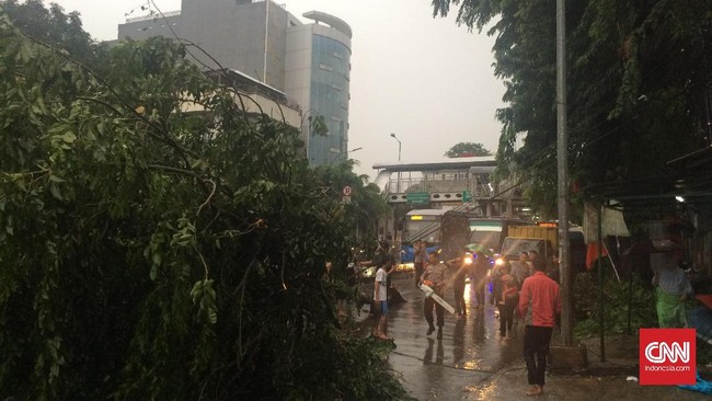 Seorang warga di Kebayoran Lama, Jakarta Selatan, meninggal setelah tertimpa pohon tumbang di Jalan Terogong Raya, Rabu (16/2).