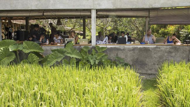 Bekerja tak harus di kantor, malah bisa sambil berwisata. Beberapa 'co-working space' berikut ini bisa mewujudkan impian bekerja sambil berwisata.