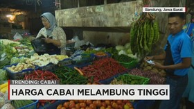 Harga Cabai Melambung Tinggi